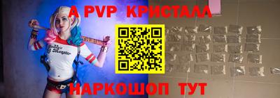 крисы Кингисепп