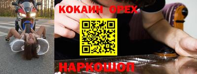 крисы Кингисепп