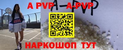 крисы Кингисепп