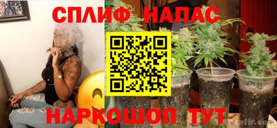 крисы Кингисепп