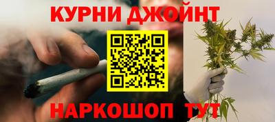 крисы Кингисепп