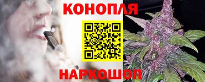 индика Кинель