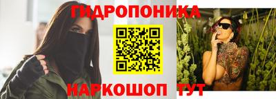 индика Кинель