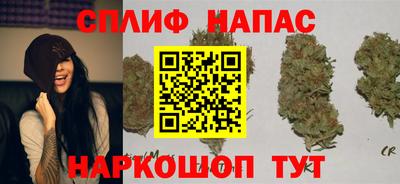 крисы Кингисепп