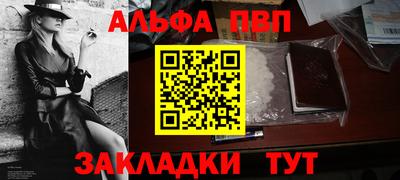крисы Кингисепп