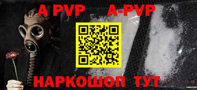крисы Кингисепп