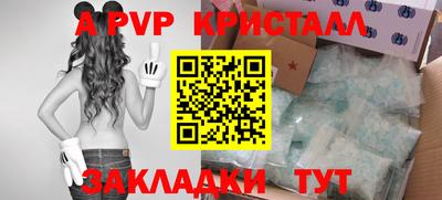 крисы Кингисепп
