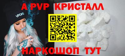 крисы Кингисепп