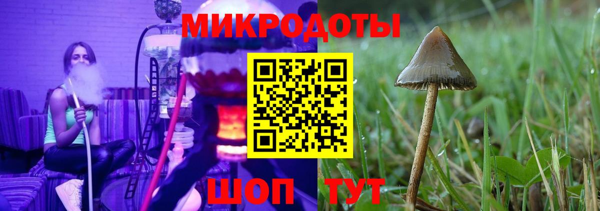 Волоколамск  Галлюциногенные грибы мухоморы  Вход с VPN 